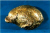 Chinese archaeology, Peking man