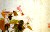 Paintings, Albums, Album of Flowers and Landscapes, Leaf 5