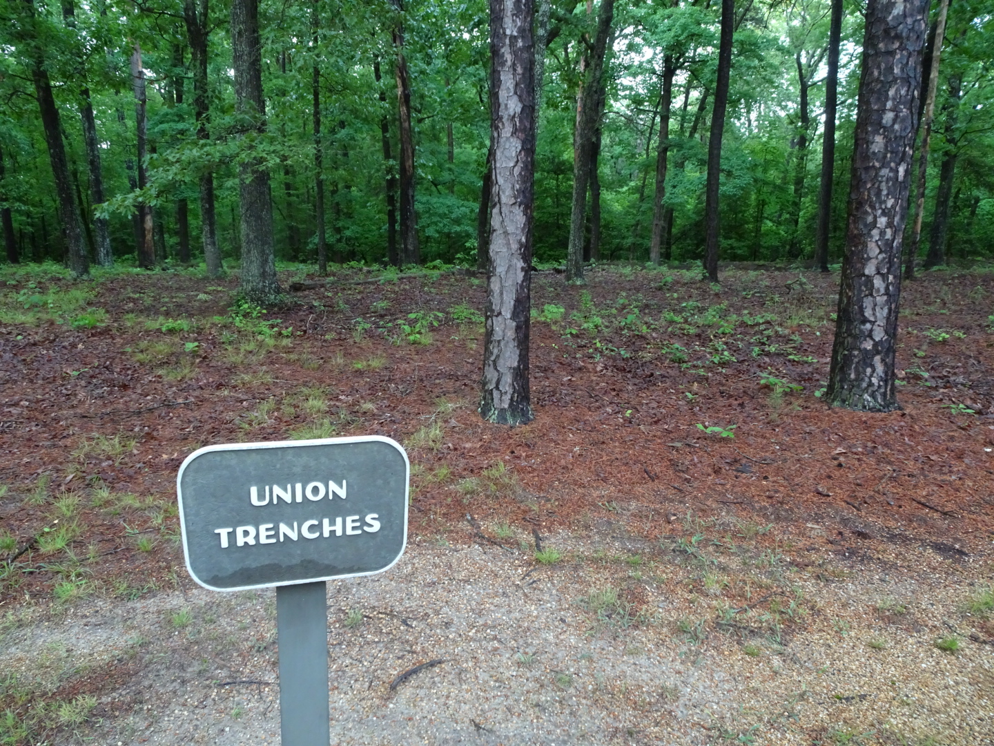 Remains of Union Trenches at Cold Harbor