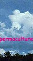 Permaculture discussion forum