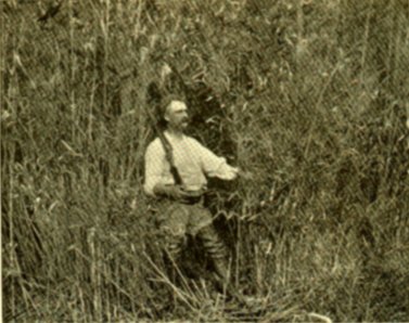 [In the Dismal Swamp]