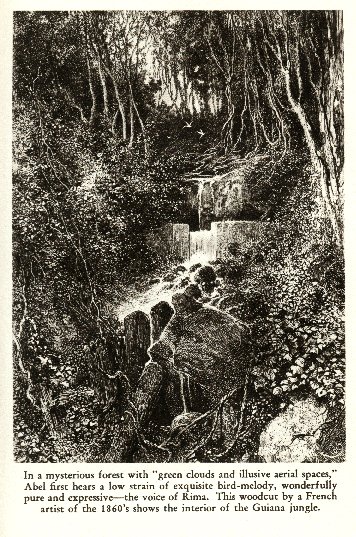 [green clouds, illusive spaces]