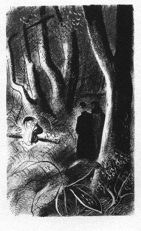 [seated on the trunk of a fallen tree]