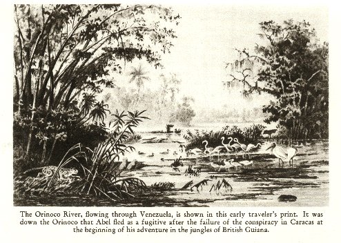 [Orinoco with flamingos]