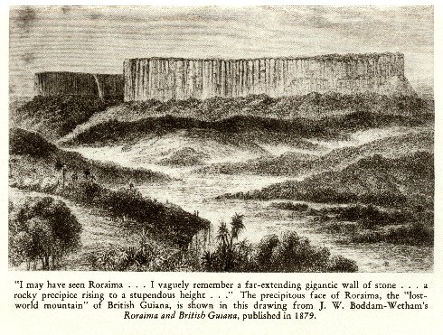[Roraima's wall of stone]