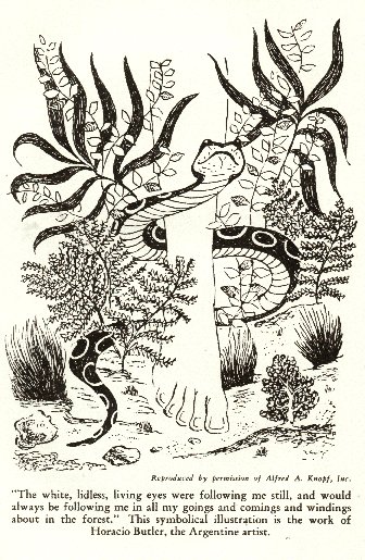 [snake around ankle]