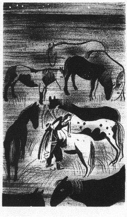 [she was mounted, man-fashion]