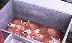 Chill tank