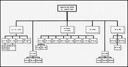 Chart: 12th AF Organization Chart