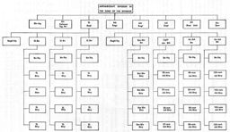 Figure 28.--Antiaircraft Division in Zone of Interior