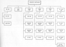 >Figure 43.--Infantry Battalion, Volks Grenadier Division