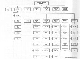 Figure 57.--Mountain Infantry Regiment