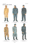 Plate X: German Air Force Uniforms