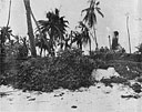 Fig. 106. Examples of camouflage
