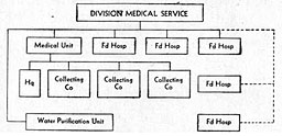 Figure 50. Organization of Division Medical Services