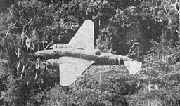 Fig. 74-A. Type 97 Medium bomber 'Sally