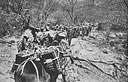 Supplies for troops by mules in the Keren Hills