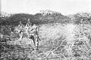 An infantry patrol approaches Buna rock.