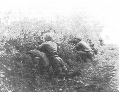 A U.S. infantry squad deployed along a small hedgerow