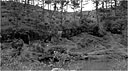 hillside on Okinawa honeycombed with caves and dugouts