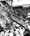 COMPLETELY EQUIPPED TROOPS GOING UP A GANGPLANK at
Melbourne to go on the way to their new station in the forward area. After
receiving additional training in Australia, troops were sent out to carry the
offensive to Japanese-held bases.