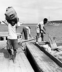 NATIVE NEW CALEDONIANS unloading mail for troops stationed on the
island. Throughout the Pacific natives were used whenever possible for 
construction work on airfields, to transport supplies and equipment, and in all other
types of work calling for unskilled labor.
