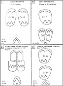 Figure 7.--Boat group landing assault battalion (diagram not to scale).