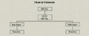 Chain of Command Organization Chart