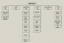Shore Party Organization Chart
