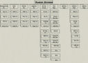 Marine Division