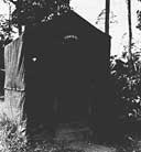 The Admiral's Head, Camp Crocodile, Guadalcanal Island