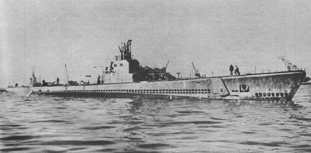 Herring
