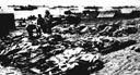 Figure 96.--Bodies of Marines of the Third Division awaiting burial.