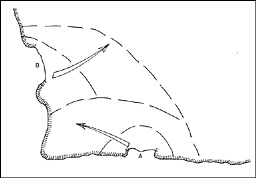 Fig. 5: Diagram of scheme of maneuver