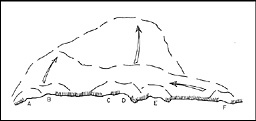 Fig. 6: Diagram of scheme of maneuver