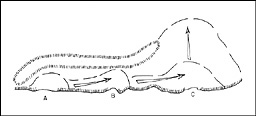 Fig. 8: Diagram of scheme of maneuver