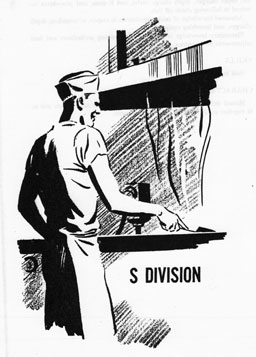S Division sketch
