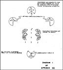 Diagram 1: Preferred assignments for air screen radars of SK, SC
or similar types to achieve radar screening in depth.