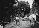 Plate 14-2. Cooperative Labor on the Neighborhood Roads