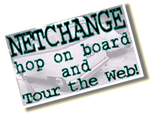NETCHANGE - Hop on Board on Tour the Web