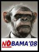 Obama as a monkey