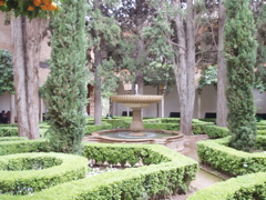 planted courtyard