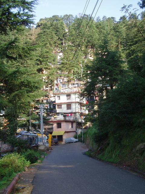 Looking down the road toward McLeod Ganj