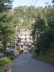 Looking down the road toward McLeod Ganj