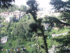 Across the valley toward McLeod Ganj