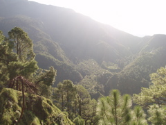 Misty valley away from McLeod