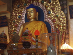 Buddha at Dalai Lama's temple