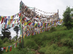 Prayer flags