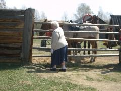 Evelyn meets a horse