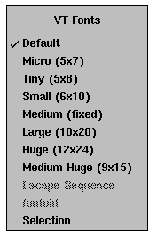 Diagram of an XTerm Font Menu